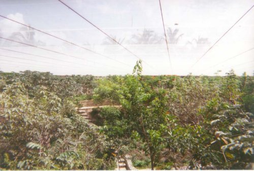 cancun25.jpg