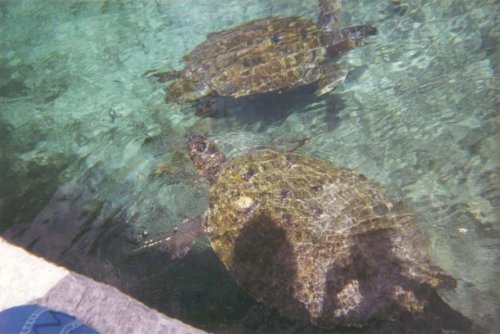 cancun27.jpg