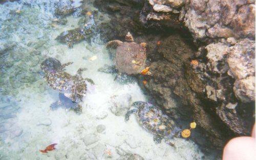 cancun28.jpg