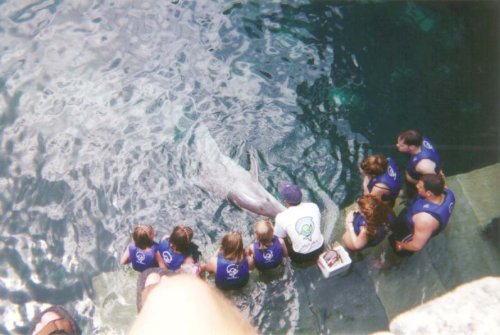 cancun30.jpg