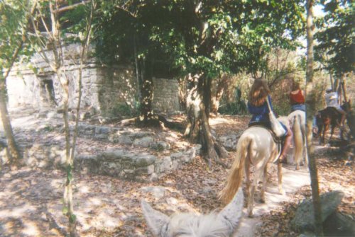 cancun34.jpg